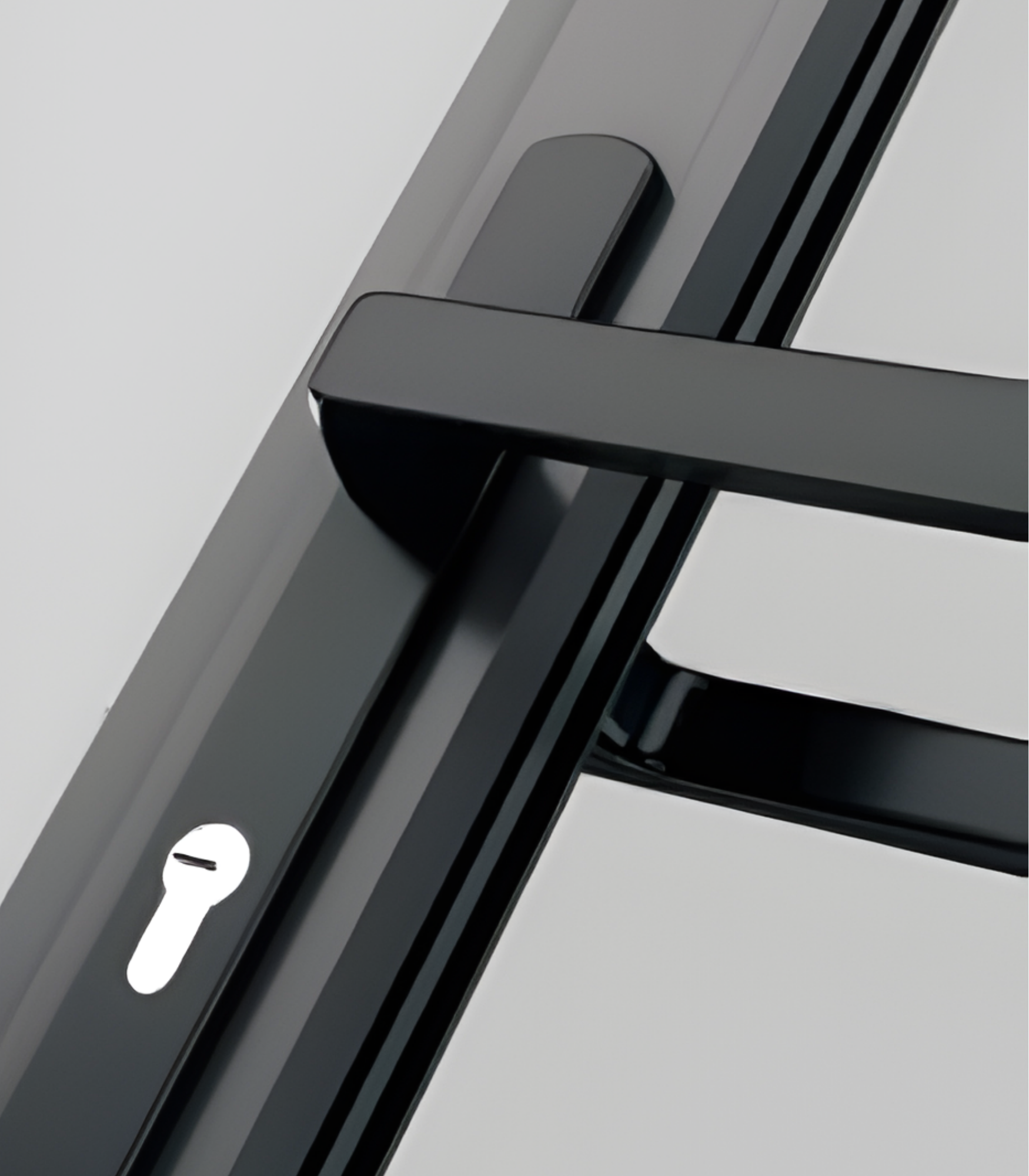 VLX 100 Swing / Entry Door in Houston, TX | Westlight Windows Houston - detail 3