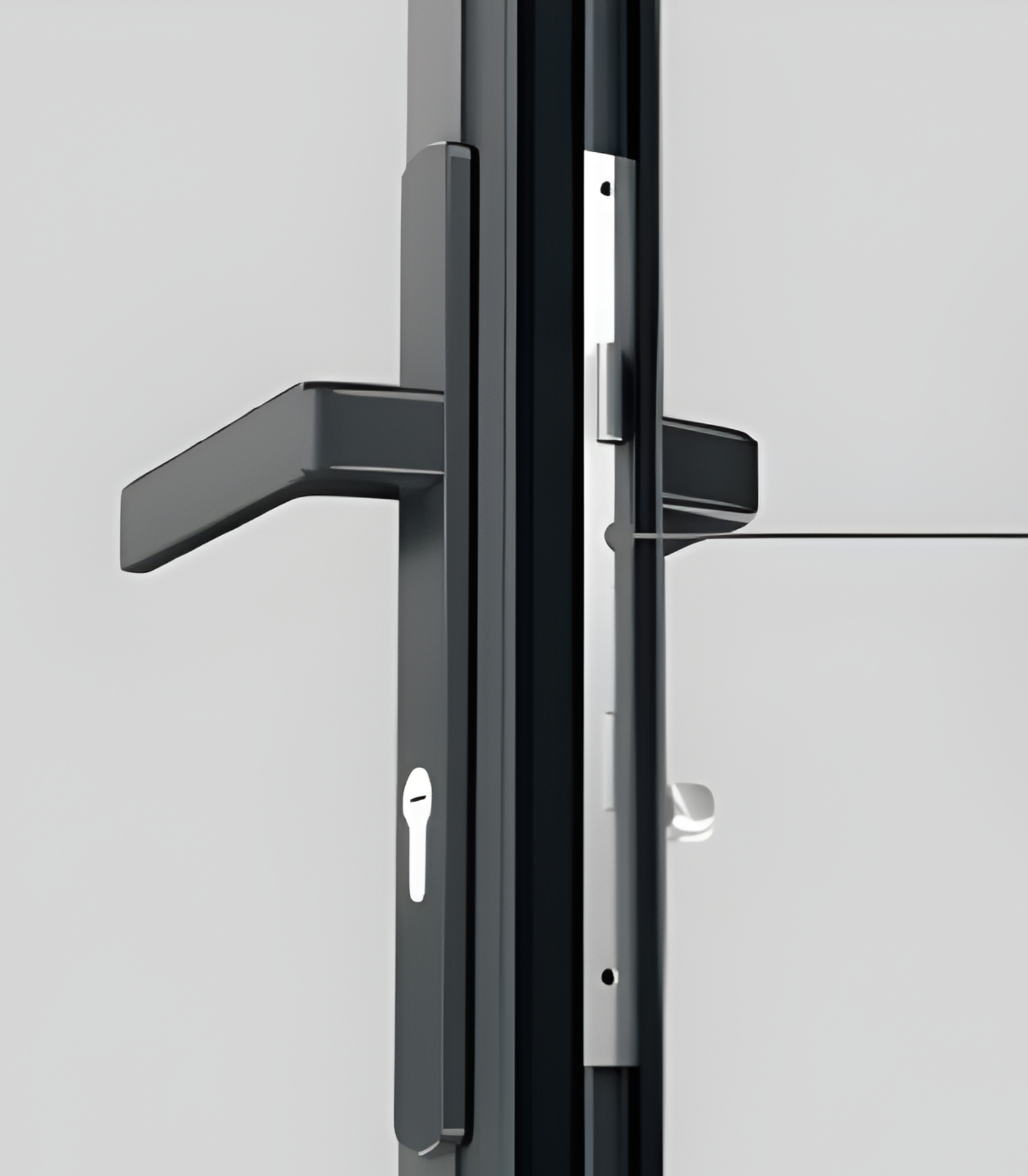 VLX 100 Swing / Entry Door in Houston, TX | Westlight Windows Houston - detail 5